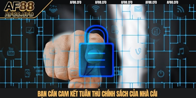 Bạn cần cam kết tuân thủ chính sách của nhà cái